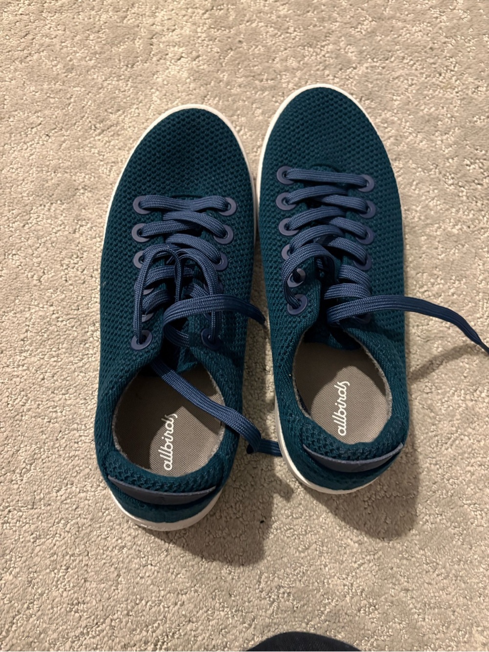 allbirds Tree Runners in Teal with Navy Accents